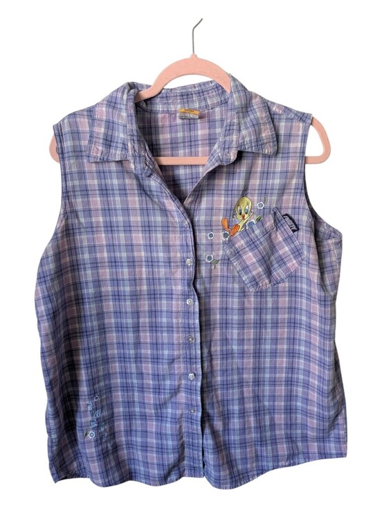 Warner Bros. Tops - Looney Tunes Vintage Plaid Tweety Button Down Shirt